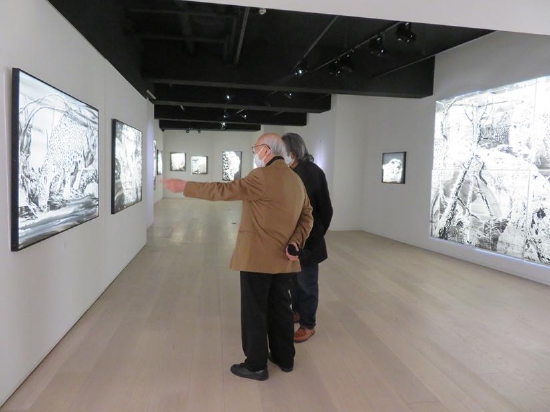 江屹和千叶市美术馆前馆长美术史家河合正朝 Jiang Yi and Kawai Masatomo direcor of Chiba City Museum of Art