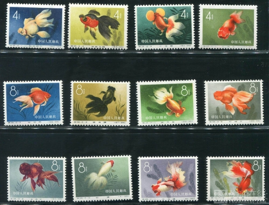 特38金鱼新全(全品)