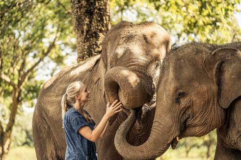 泰国清莱“金三角象园安纳塔拉度假酒店”“陪亚洲象散步”