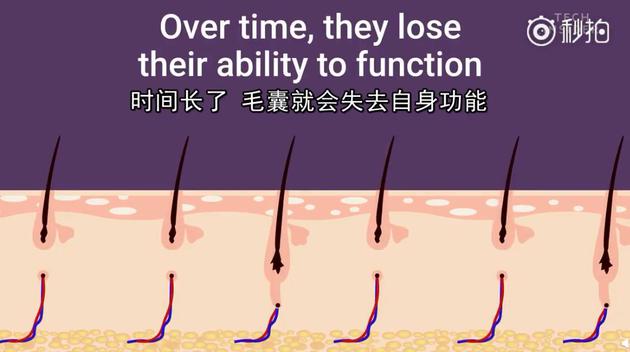 图片源于:环球时报秒拍视频截图