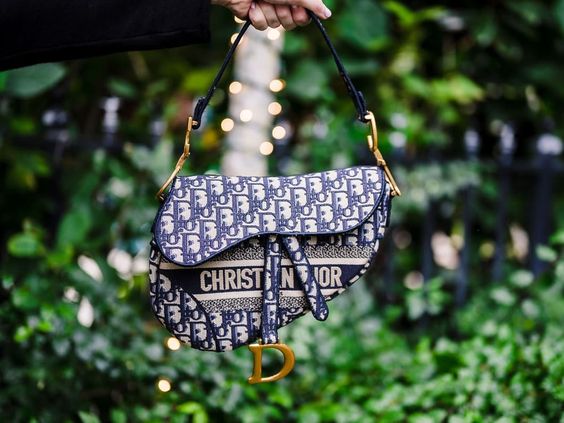 Dior Saddle