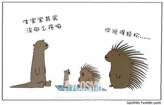 动物世界不太懂