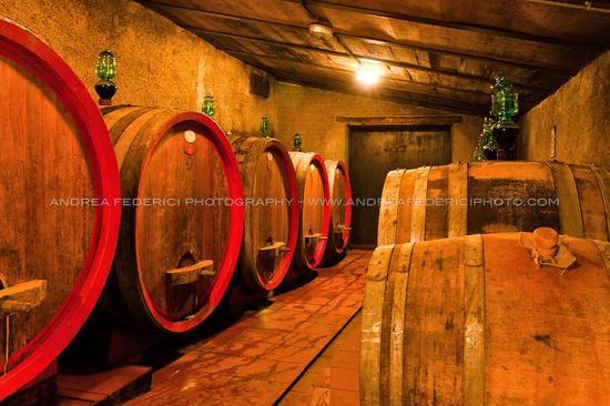 剁手!2015年最值得买的意大利酒都在这了 |葡萄