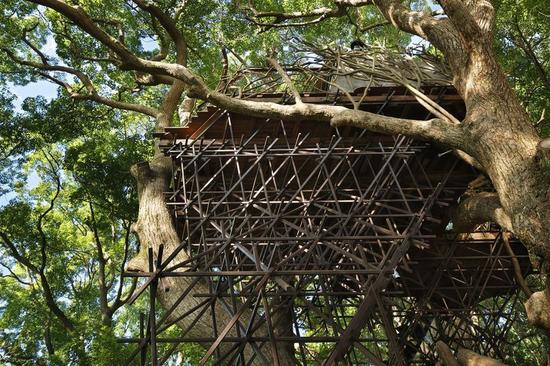 Bird’s Nest Atami
