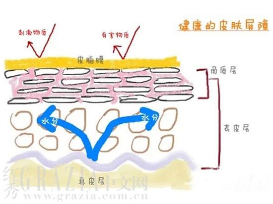 如图所示