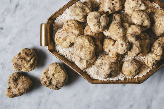 白松露凭啥被捧为餐桌上的钻石?|松露|白松露|