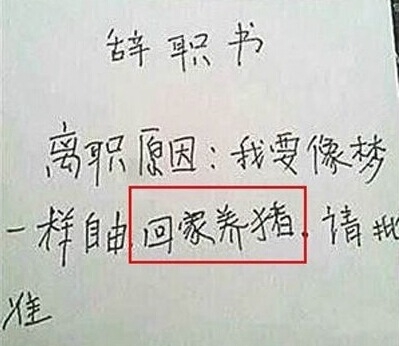 男子最走心辭職信 求老闆心理陰影面積