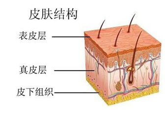 医生知道 但你不知道的年轻肌肤知识|护肤|保湿