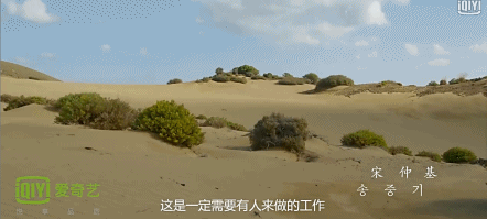80%的戏份在海外拍摄