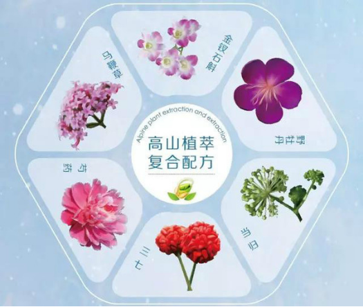 《女医明妃传》揭秘宫中护肤 植物医生精华晚安面膜获追捧