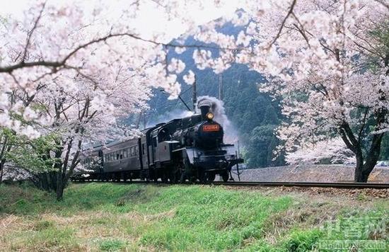 “SAKURA”（樱花）专门列车