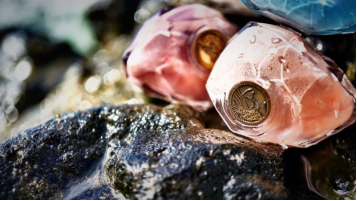 Desirableness法国人鱼之水梦境四季上市|珍珠