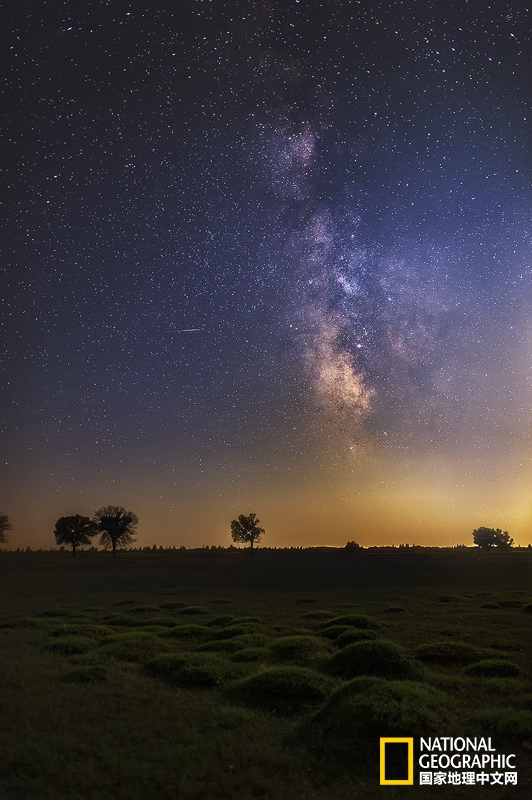 一半守候黑夜，一半沐浴星光。