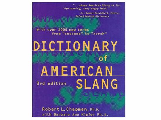 《The Dictionary of American Slang》