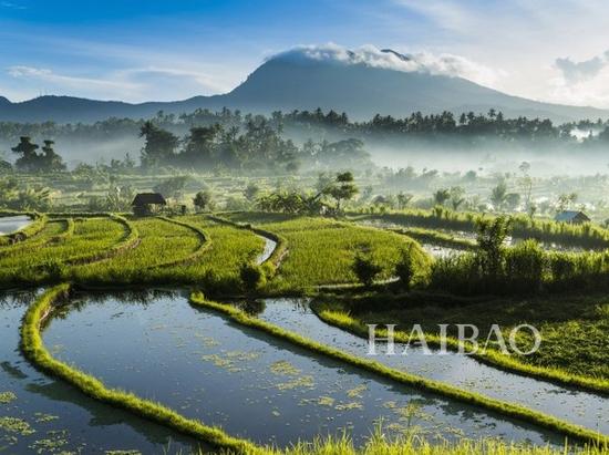 巴厘岛 Bali