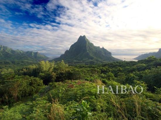 茉莉亚岛 Moorea