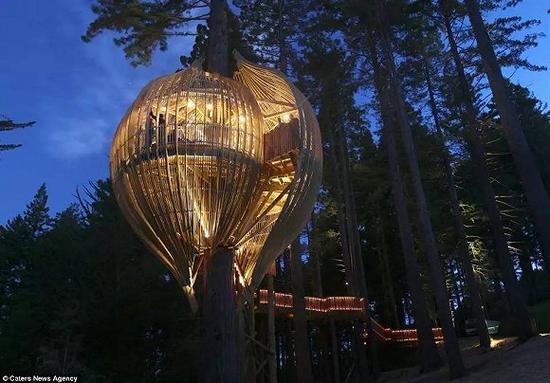 The Redwoods Treehouse