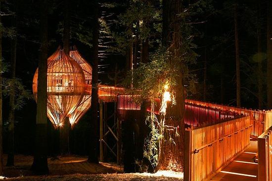 The Redwoods Treehouse