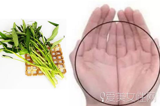 蔬菜=一捧的量