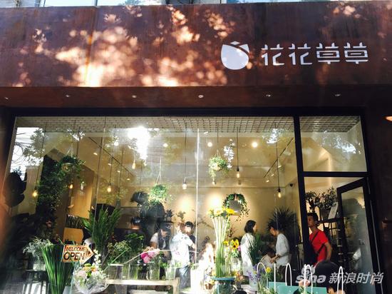 花卉消费新主张 花花草草引领花店时尚|花店
