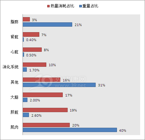 一个正常成年人（年轻女性）身体各器官组织基础代谢热量的占比