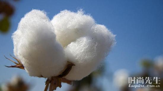 干货 不知道怎么挑衬衫的请看这里|衬衫|时尚