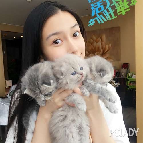 Angelababy