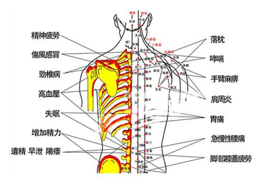 不同穴位不同功效