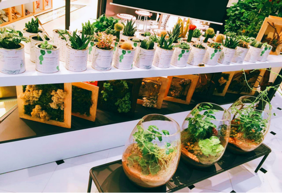 通过气味 连通“五感” 享受生活|气味图书馆_新浪时尚_新浪网