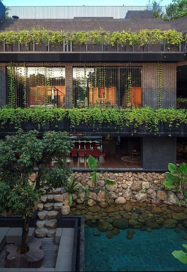 植物、建筑体与水(来源:gooood)