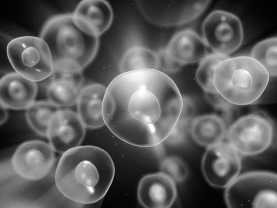 第一家专业美容沙龙 HR赫莲娜屹立百年美容帝国