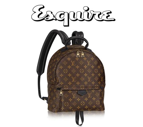 LOUIS VUITTON Palm Springs Backpack