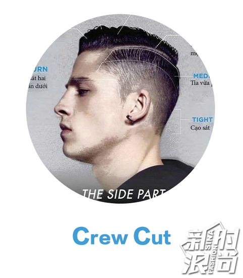 Crew Cut
