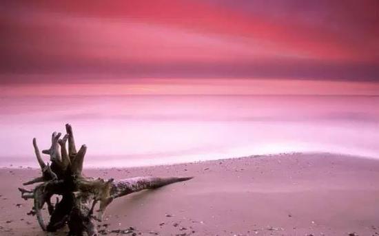 Bahamas Pink Sands