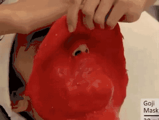 Ĥ Goji Mask