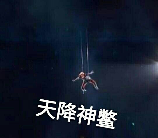 天降神鳖可还行?!