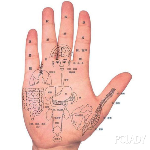 手部有很多的穴位，经常按摩手部不仅促进血液流通，更能保护身体健康