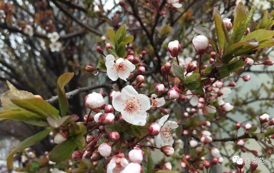 商务范:把1元的共享单车,骑出英伦风的几种姿