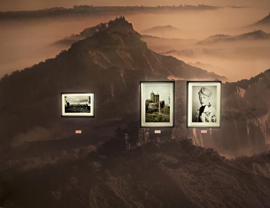 Cabinet of Curiosities
