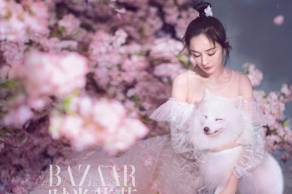 李娜法网直播-乐鱼app(leyu)官方网站-乐鱼官网