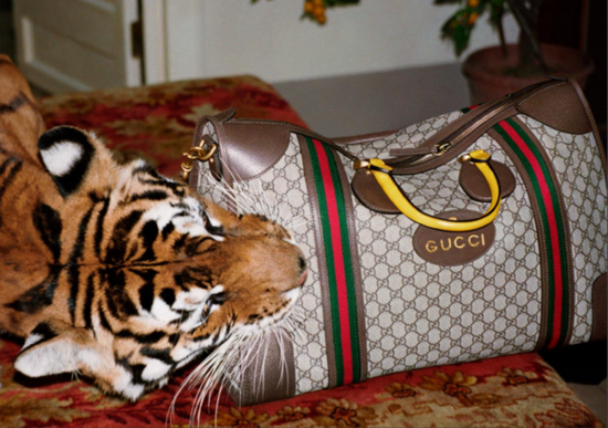 Gucci,YSL,Puma齐开挂!法国开云集团第一季度销售同比大涨31.2%