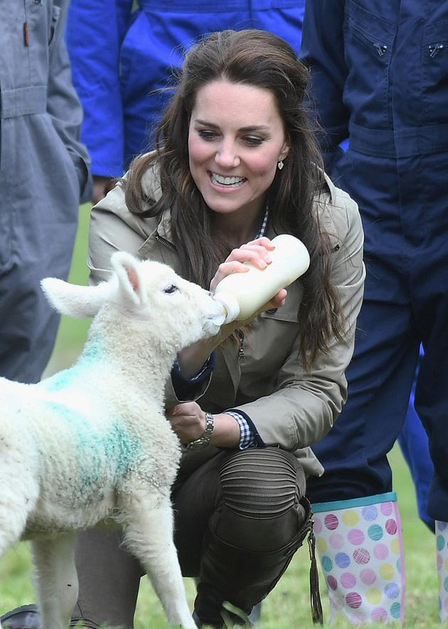 凯特王妃喂奶小羊羔 工装外套凸显优雅气质