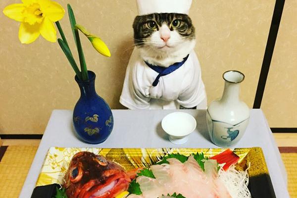 世界杯b组-乐鱼APP下载-乐鱼体育app-乐鱼体育官网网站|乐鱼体育