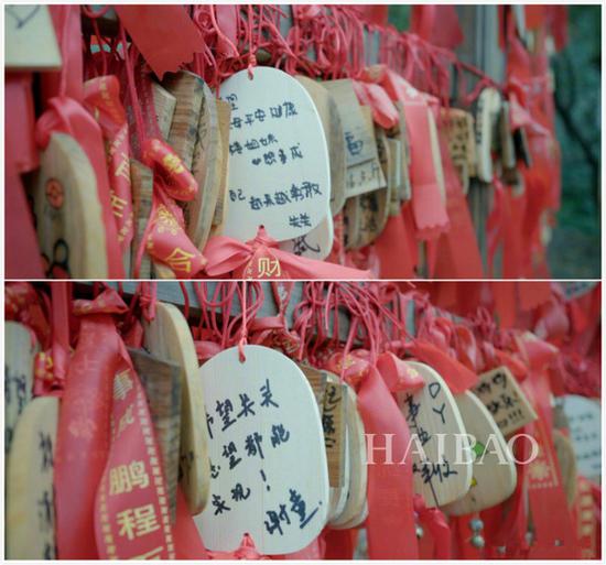 《欢快颂2》关关谢童虐狗 搞定则3个部位你也可以