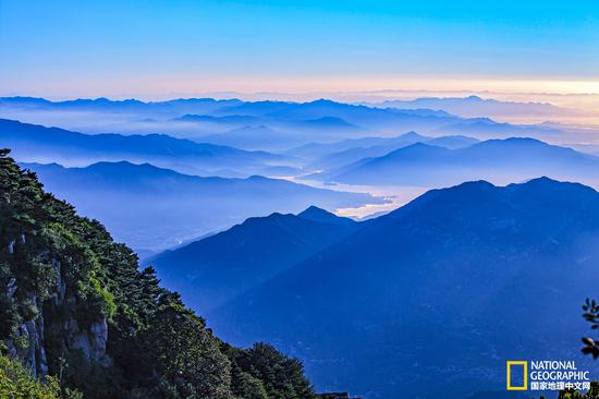 满目青山