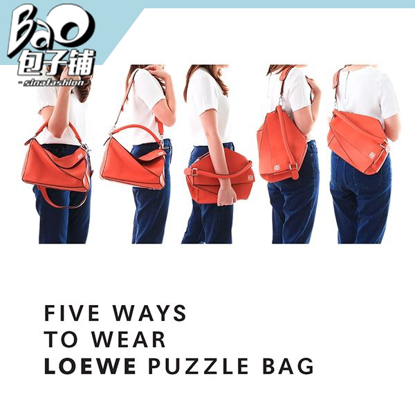 5种背法的loewe puzzle