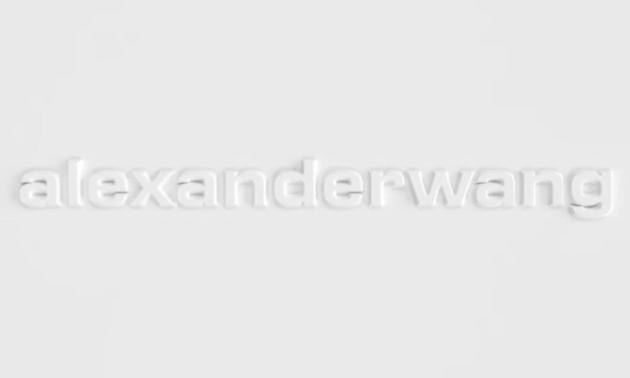 从之前全大写粗体的 ALEXANDER WANG 变成了如今全小写的 alexanderwang