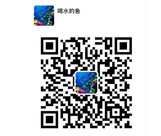 币市经纬0124:二牛装帧币节前有望出现炒局
