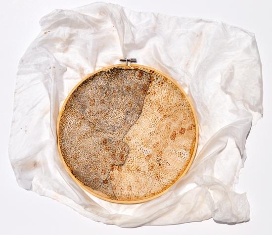 特拉维夫 20， 水泥蛋彩胶， 茶叶汁， 丝绸上日本墨 来自David Goss