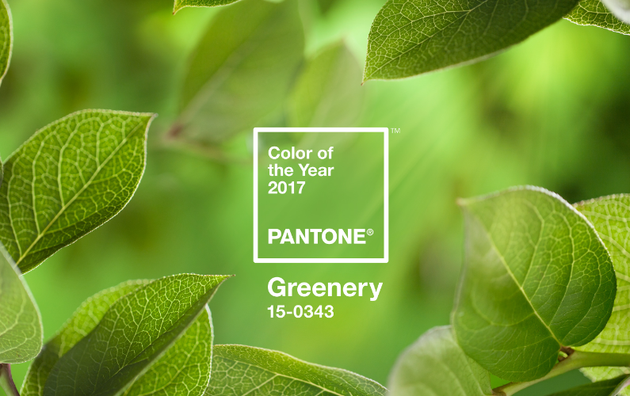 2017 Pantone年度色 Greenery
